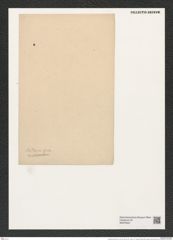 Amphitetras lata (Grev.) De-Toni (de-Toni-Nr.: Genus 137, Species 3606) Zeichnungen Sammlung Grunow (NHMW-BOT-W0376057)